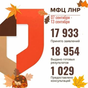 На прошлой неделе количество принятых МФЦ ЛНР заявлений увеличилось более чем на 13%
