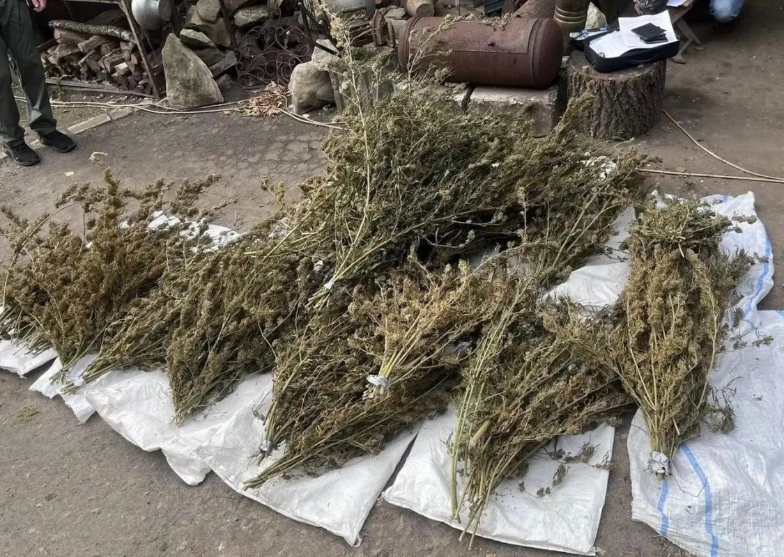В Белокуракино у местного жителя изъяли 5,7 кг марихуаны В Белокуракино у местного жителя изъяли 5,7 кг марихуаны