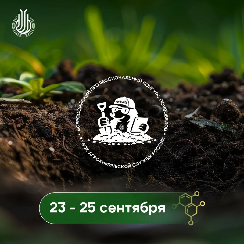 Лучшие в профессии – на одном поле!
