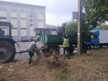 Коммунальными службами проведены работы на территории города