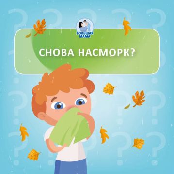 Каждый год одно и то же: только привыкли к саду — и снова насморк