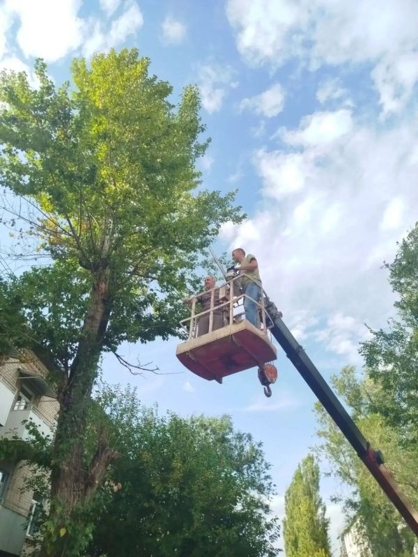 Безопасность жителей — в приоритете: по просьбе жильцов спилены аварийные деревья у одного из многоквартирных домов Безопасность жителей — в приоритете: по просьбе жильцов спилены аварийные деревья у одного из многоквартирных домов