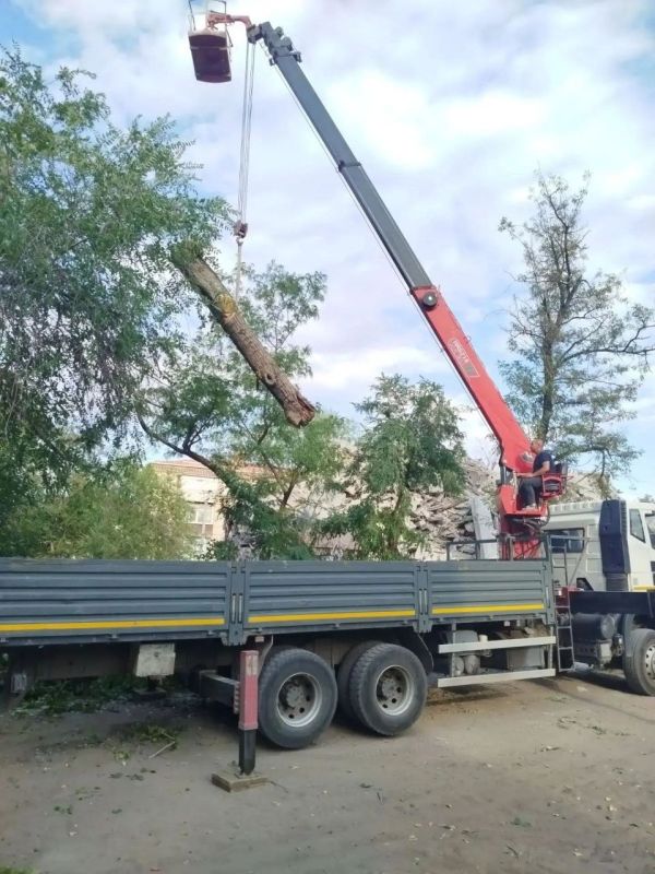 Безопасность жителей — в приоритете: по просьбе жильцов спилены аварийные деревья у одного из многоквартирных домов Безопасность жителей — в приоритете: по просьбе жильцов спилены аварийные деревья у одного из многоквартирных домов