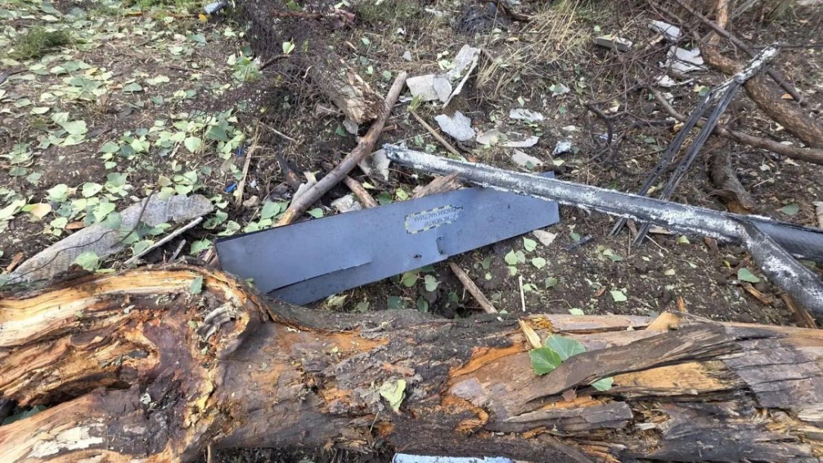 Жилой сектор Новосветловки оказался под ударом врага этой ночью Жилой сектор Новосветловки оказался под ударом врага этой ночью