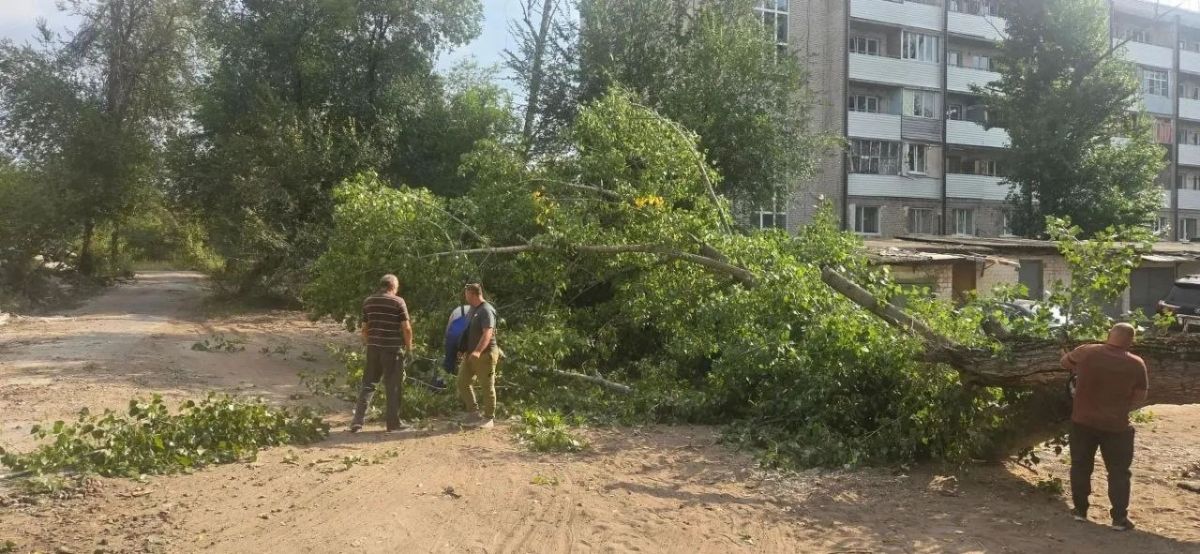 Безопасность жителей — в приоритете: по просьбе жильцов спилены аварийные деревья у одного из многоквартирных домов Безопасность жителей — в приоритете: по просьбе жильцов спилены аварийные деревья у одного из многоквартирных домов