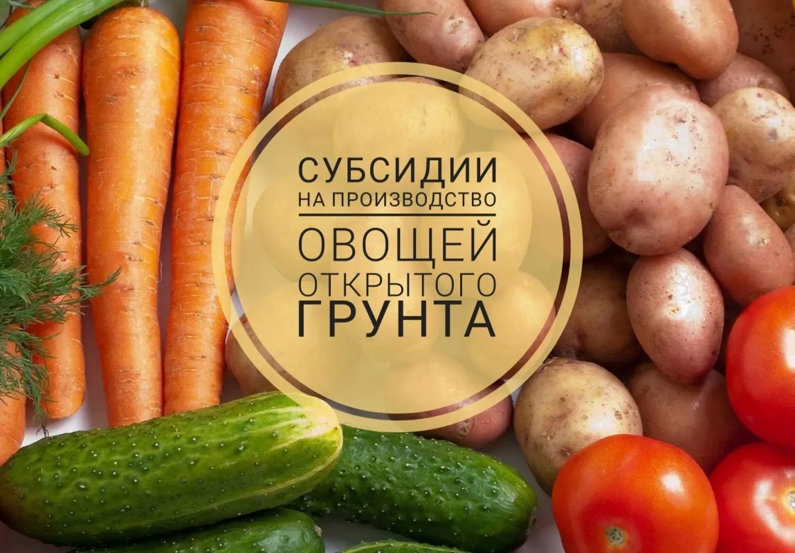 ОБЪЯВЛЕНИЕ О ПРОВЕДЕНИИ ОТБОРА ПОЛУЧАТЕЛЕЙ СУБСИДИИ