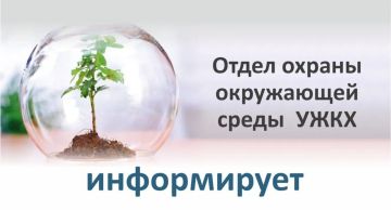 Администрация городского округа муниципальное образование городской округ город Красный Луч Луганской Народной Республики (далее – Администрация города) в соответствии с п.п. 7 п. 4.2. Порядка вырубки (уничтожения), обрезки...