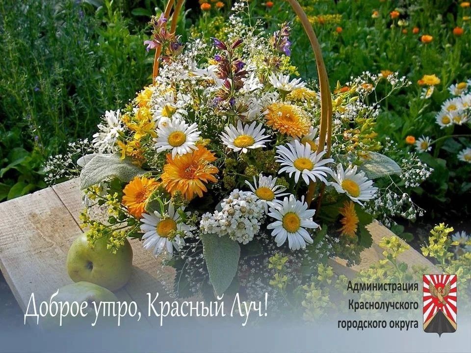 Доброе утро, краснолучане и гости города!