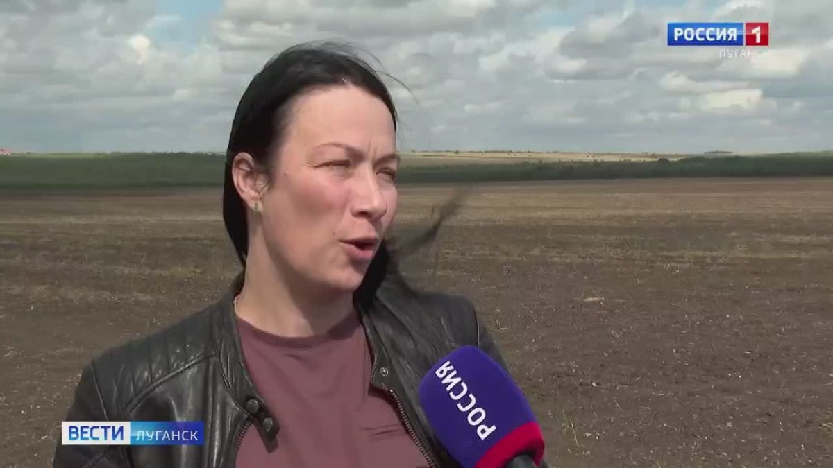В ЛНР начался сев озимой пшеницы