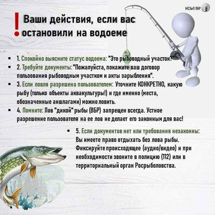 Рыбалка на рыбоводном участке: что можно, что нельзя — разбираем по законам Рыбалка на рыбоводном участке: что можно, что нельзя — разбираем по законам
