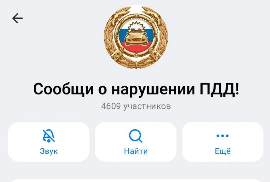 Чат ГИБДД в MAX снова работает