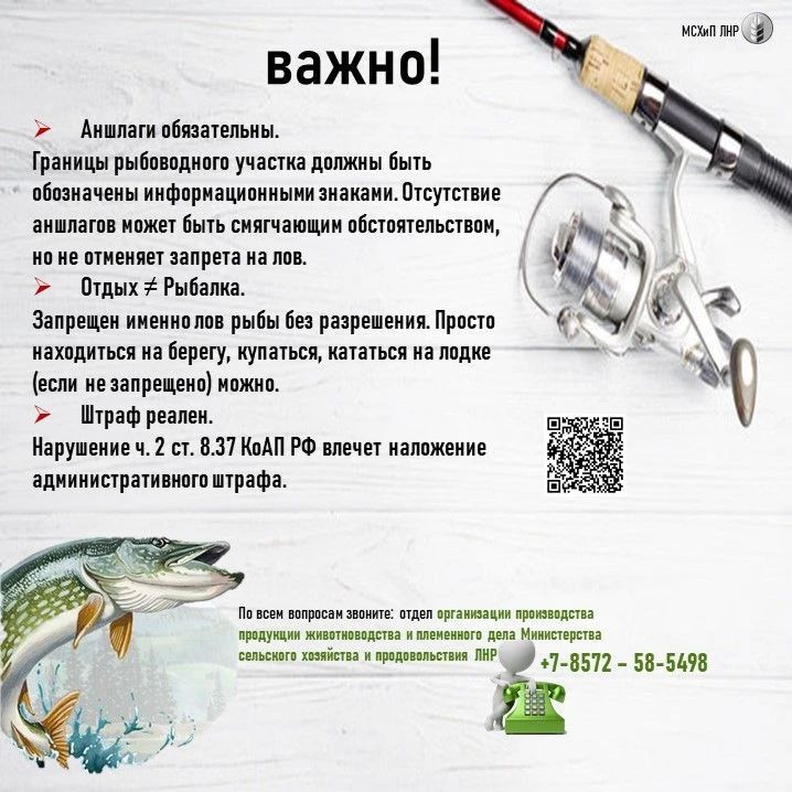 Рыбалка на рыбоводном участке: что можно, что нельзя — разбираем по законам Рыбалка на рыбоводном участке: что можно, что нельзя — разбираем по законам