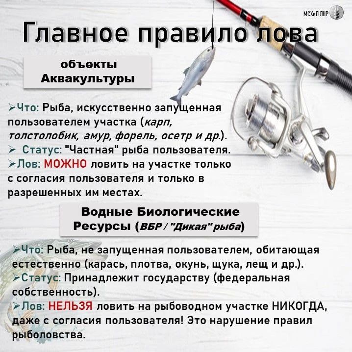 Рыбалка на рыбоводном участке: что можно, что нельзя — разбираем по законам