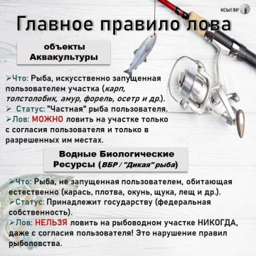 Рыбалка на рыбоводном участке: что можно, что нельзя — разбираем по законам