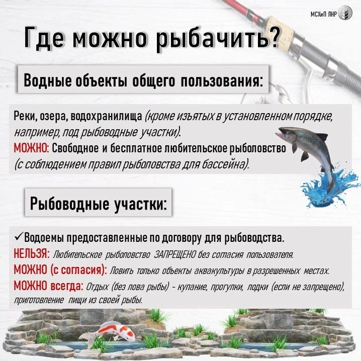 Рыбалка на рыбоводном участке: что можно, что нельзя — разбираем по законам Рыбалка на рыбоводном участке: что можно, что нельзя — разбираем по законам