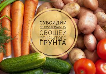 ОБЪЯВЛЕНИЕ О ПРОВЕДЕНИИ ОТБОРА ПОЛУЧАТЕЛЕЙ СУБСИДИИ