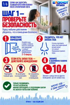 Как запустить газовый котёл или колонку после отключения света