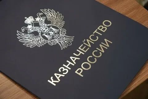 Казначейство перечислило частые ошибки при исполнении госконтрактов в I полугодии 2026 года
