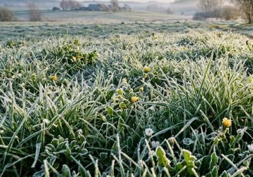 Заморозки до -3 °C ожидаются в ЛНР ночью и утром 18-19 сентября в ЛНР – МЧС