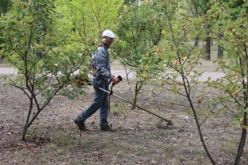 В Рубежном продолжается планомерная работа по благоустройству городской территории