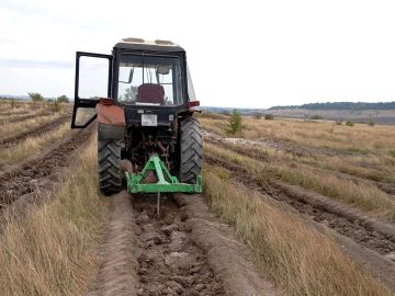 Лесоохотничьи учреждения Республики проводят мероприятия по подготовке к осенней лесокультурной кампании 2026 года