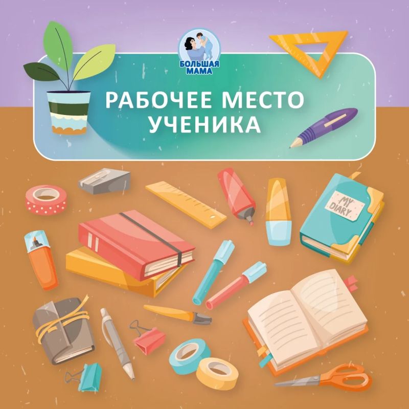 Мы часто переживаем из-за нагрузок и оценок, но иногда забываем о простом: что буквально окружает ребёнка, когда он учится? А ведь от рабочего места зависят внимание, осанка и даже сон