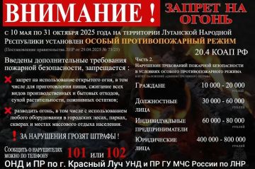 Особый противопожарный режим: условия введения, периоды действия, штрафы за нарушение требований