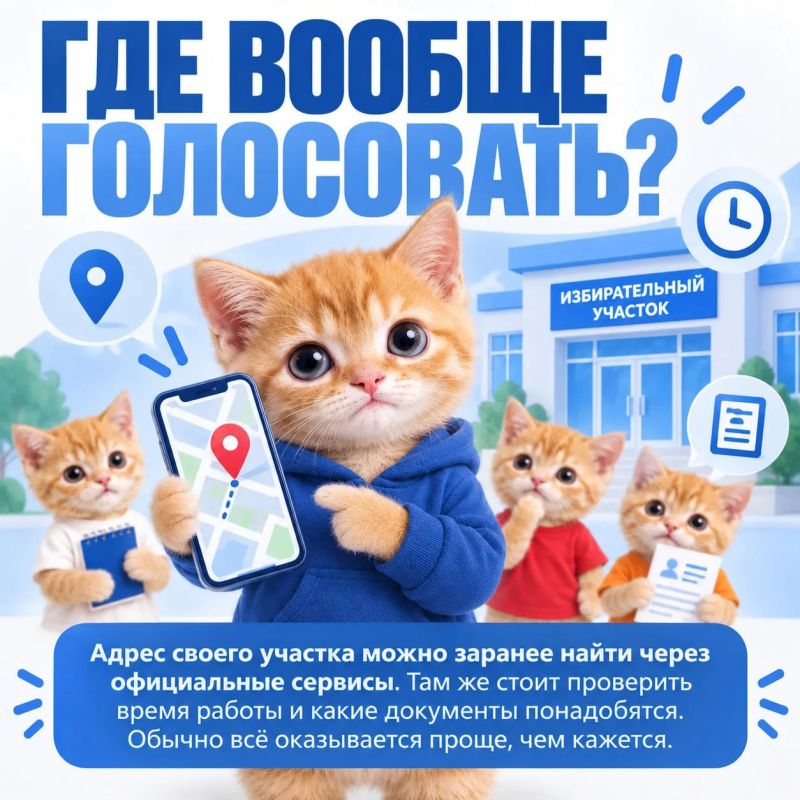 Почему ваш голос решает всё? Объясняем на котиках Почему ваш голос решает всё? Объясняем на котиках