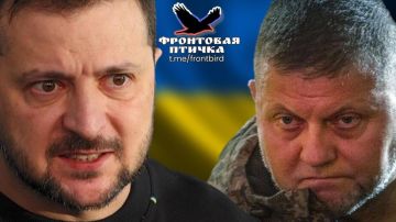 Зеля дал команду «травить»