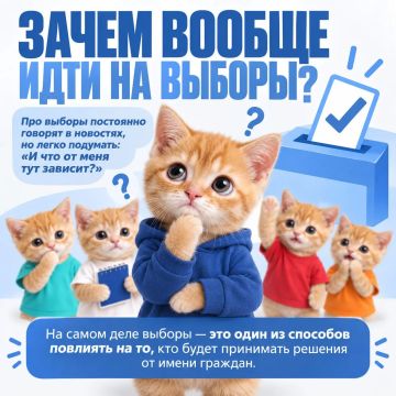 Почему ваш голос решает всё? Объясняем на котиках