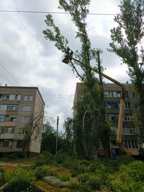 Каждый день, невзирая на капризы погоды, на улицы нашего городского округа выходят те, чей труд мы часто не замечаем Каждый день, невзирая на капризы погоды, на улицы нашего городского округа выходят те, чей труд мы часто не замечаем