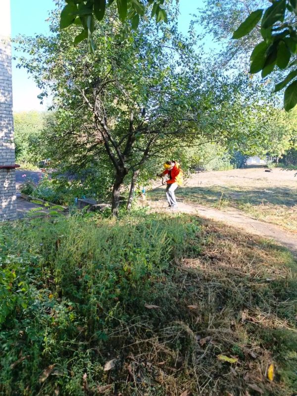 Каждый день, невзирая на капризы погоды, на улицы нашего городского округа выходят те, чей труд мы часто не замечаем Каждый день, невзирая на капризы погоды, на улицы нашего городского округа выходят те, чей труд мы часто не замечаем