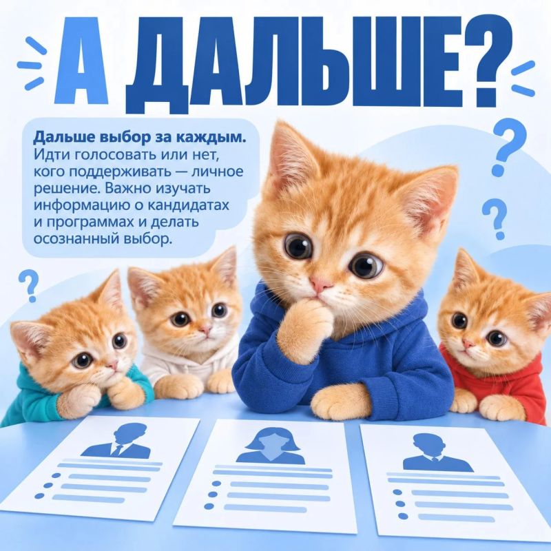 Почему ваш голос решает всё? Объясняем на котиках Почему ваш голос решает всё? Объясняем на котиках