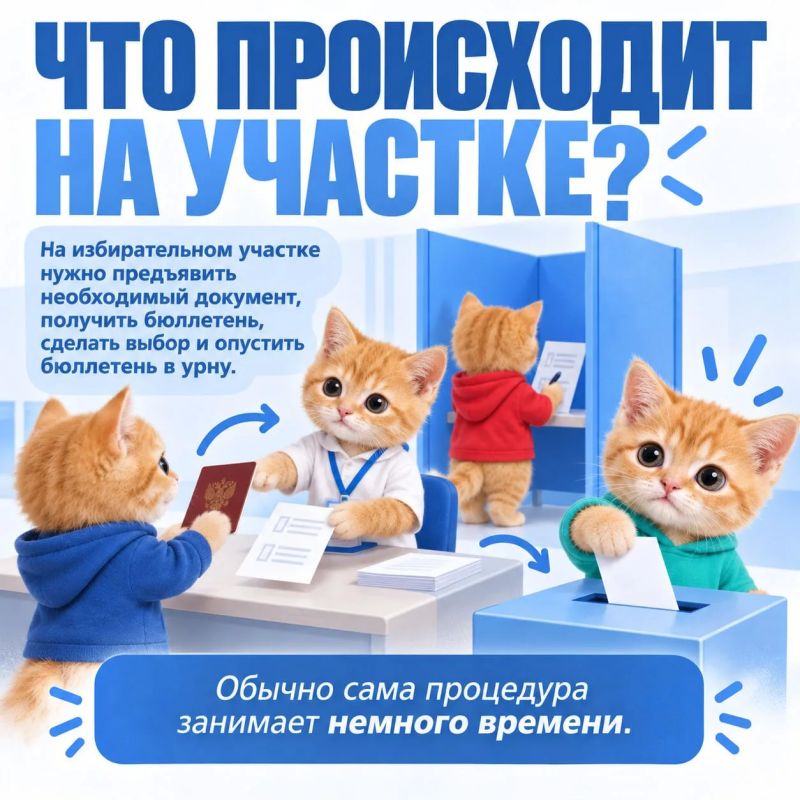 Почему ваш голос решает всё? Объясняем на котиках Почему ваш голос решает всё? Объясняем на котиках