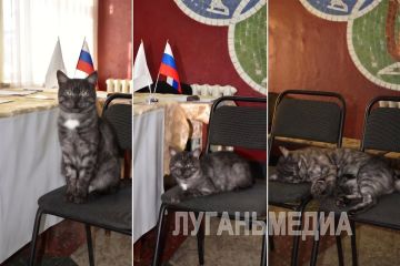 Наблюдатель без полномочий, но с большим авторитетом был замечен на одном из избирательных участков Антрацита