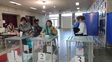 Голосовать идут не только всей семьей, но и с четвероногими друзьями