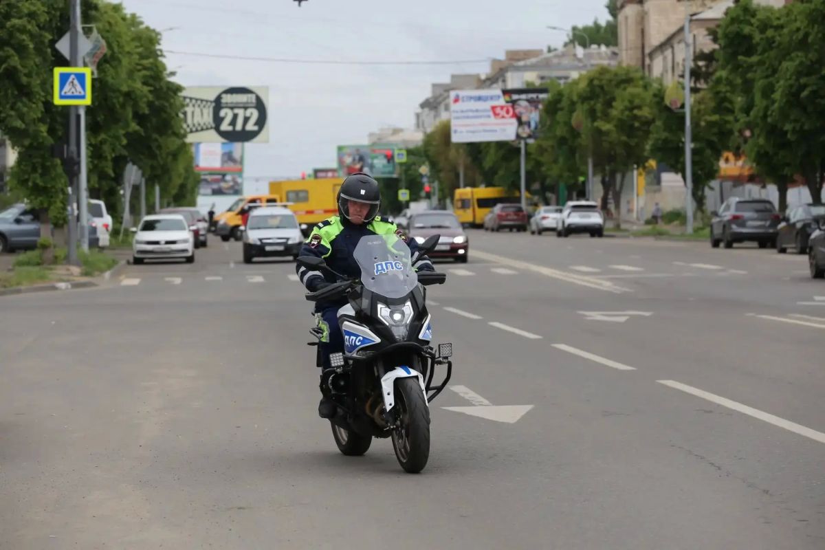 Рыцари в доспехах правопорядка Рыцари в доспехах правопорядка