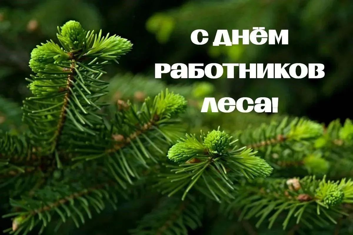 Уважаемые работники леса и ветераны отрасли!