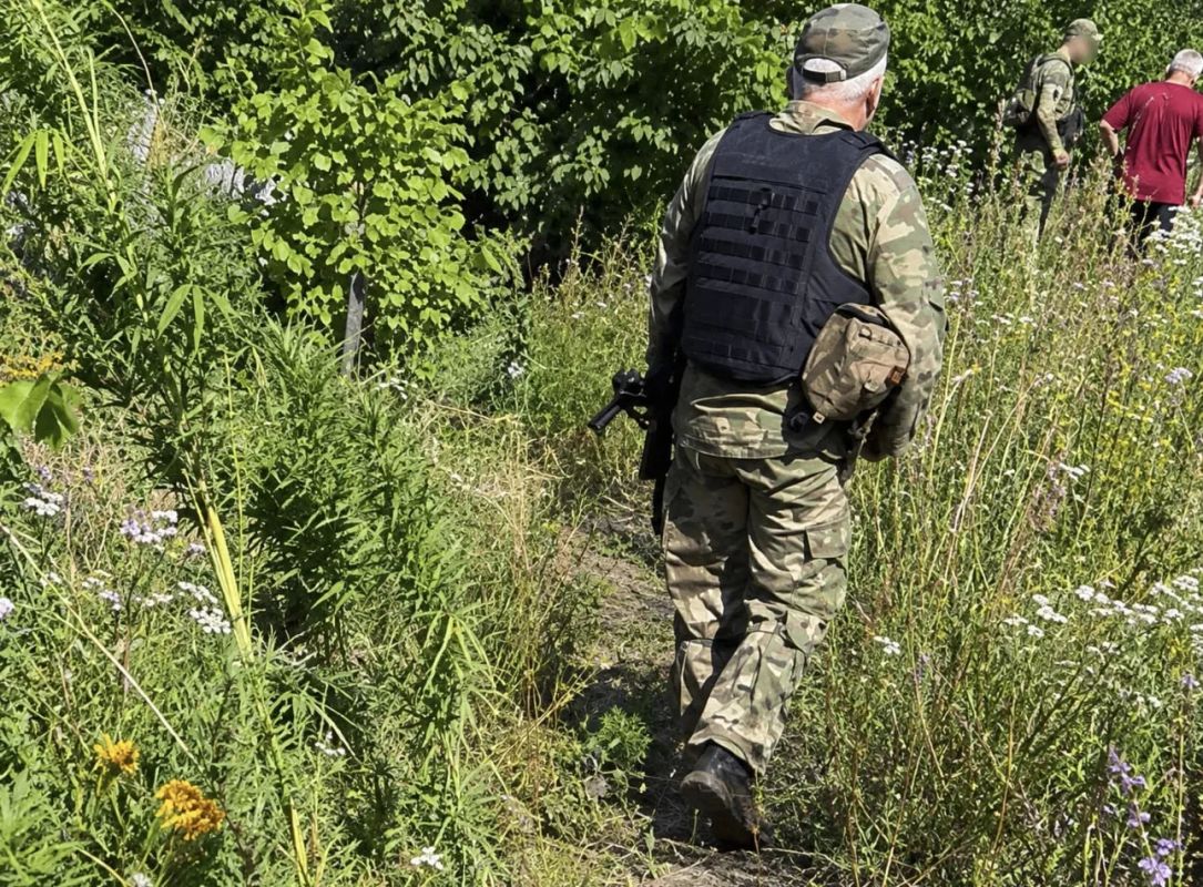 В Кременной ЛНР силовики выявили, скосили и сожгли 9 очагов дикорастущей конопли, сообщили в МВД
