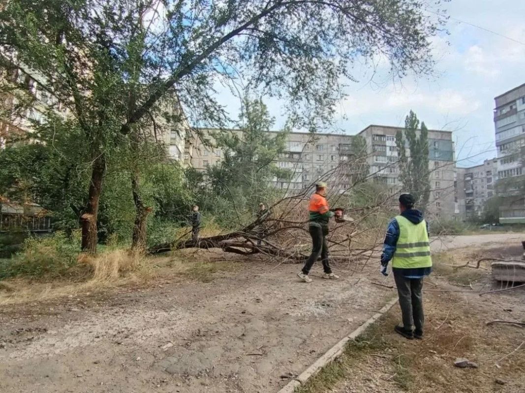 Коммунальными службами проведены работы на территории города Коммунальными службами проведены работы на территории города