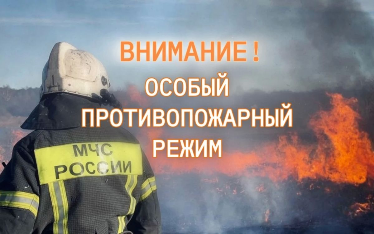 В ЛНР с 1 апреля по 31 октября 2026 года — особый противопожарный режим
