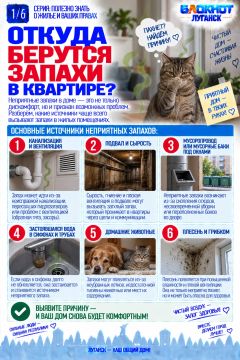 Неприятные запахи в доме: источники и как избавиться