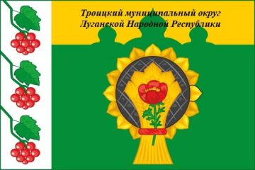 22.09.2026 года состоялись публичные слушания по проекту «О внесении изменений в Устав муниципального образования Троицкий муниципальный округ Луганской Народной Республики»