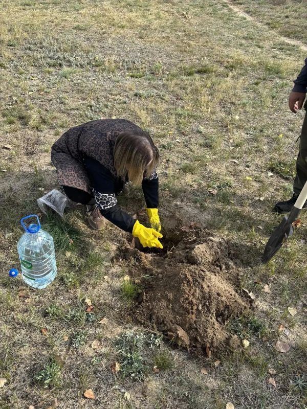 Сотрудники Тепловского отдела жизнеобеспечения присоединились к акции «Сохраним лес» Сотрудники Тепловского отдела жизнеобеспечения присоединились к акции «Сохраним лес»