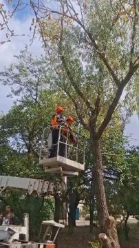 ������ �� ���������� ������� ������������