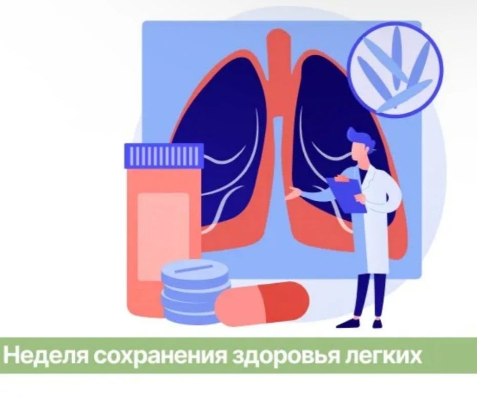 Наталия Пащенко: Городской смог и здоровье: как защитить легкие мегаполиса?