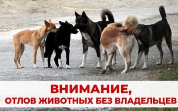 � ���������� ���������� �������� ����������� �� ������ � ������������� ���������