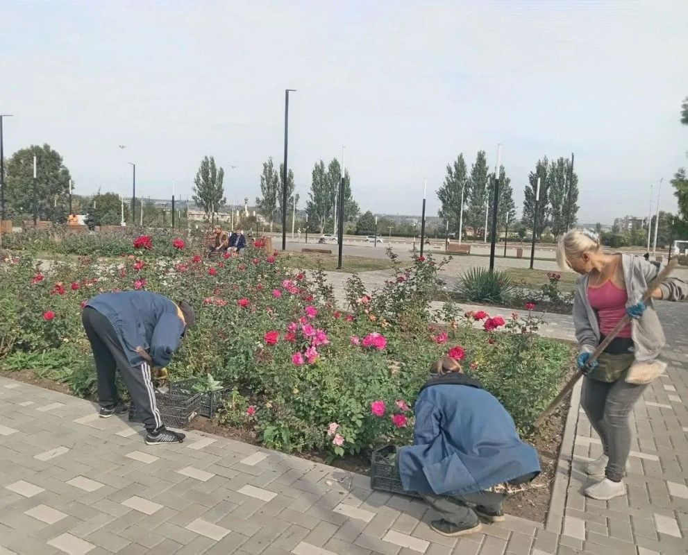 Коммунальными службами проведены работы на территории города Коммунальными службами проведены работы на территории города