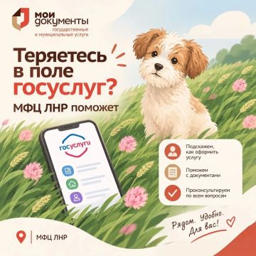 «Я просто хотел понюхать цветочки, а тут — госуслуги...»
