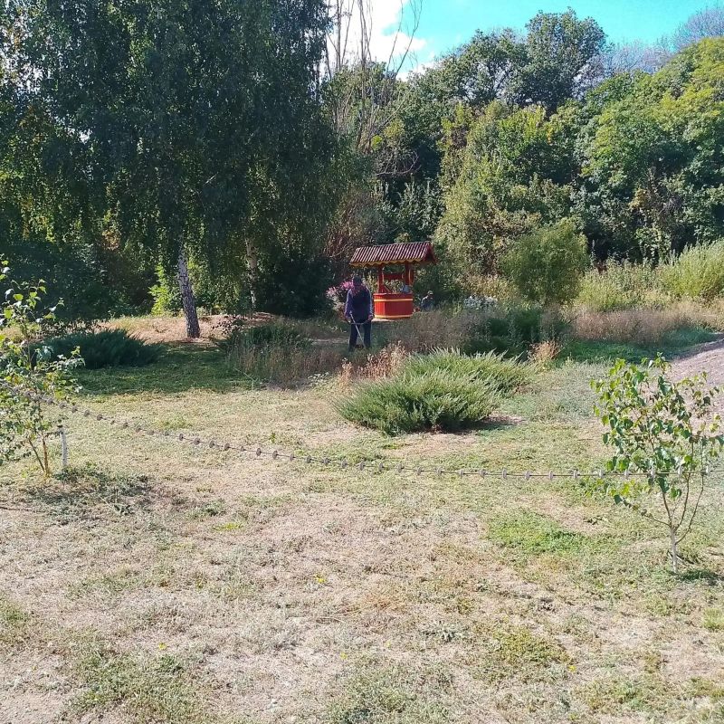 В Городище прошли субботники В Городище прошли субботники